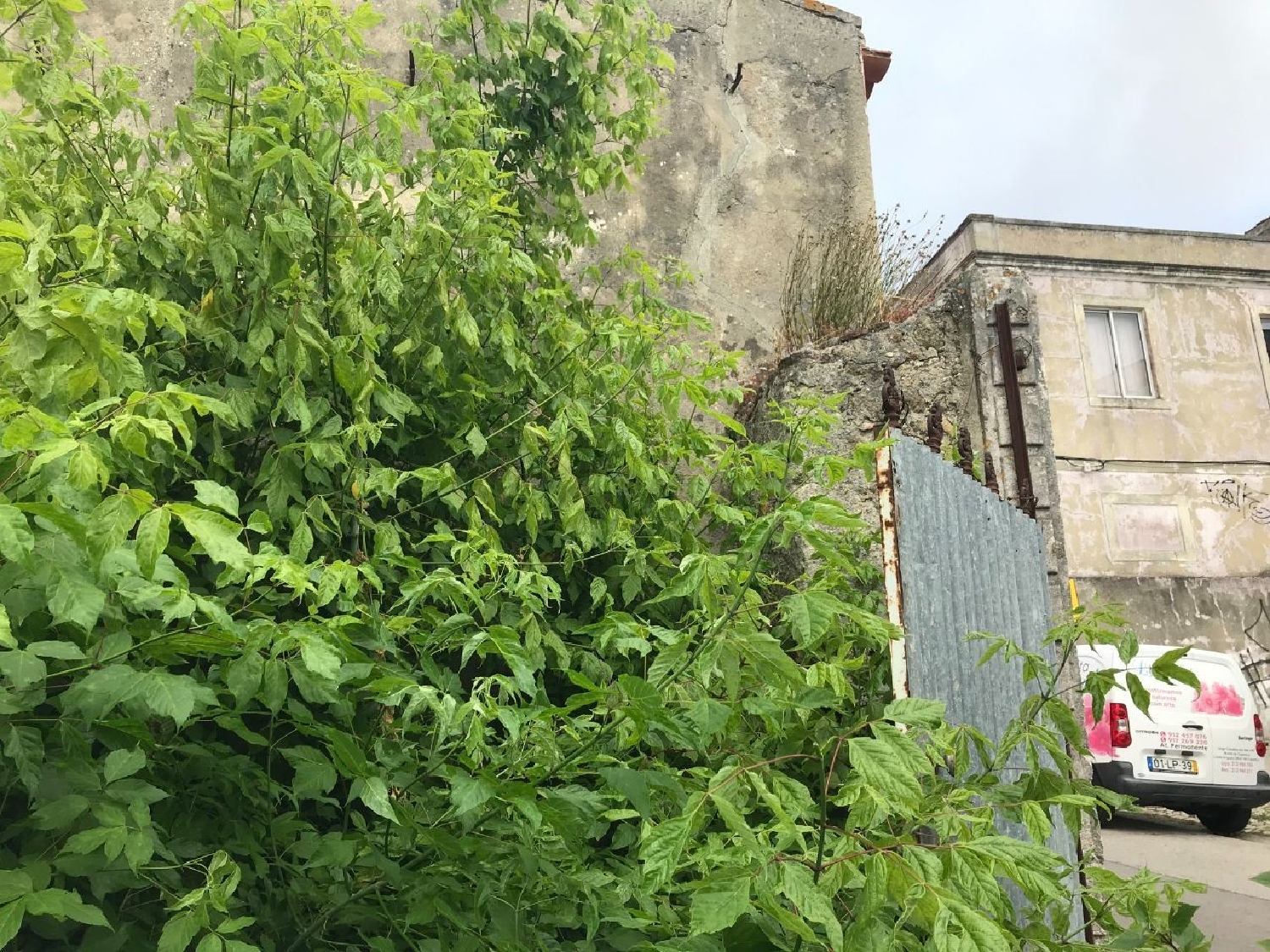  出售 土地 Trafaria Almada 1