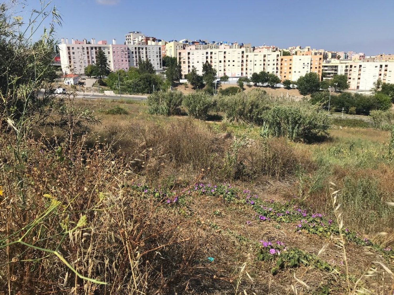  出售 土地 Trafaria Almada 1