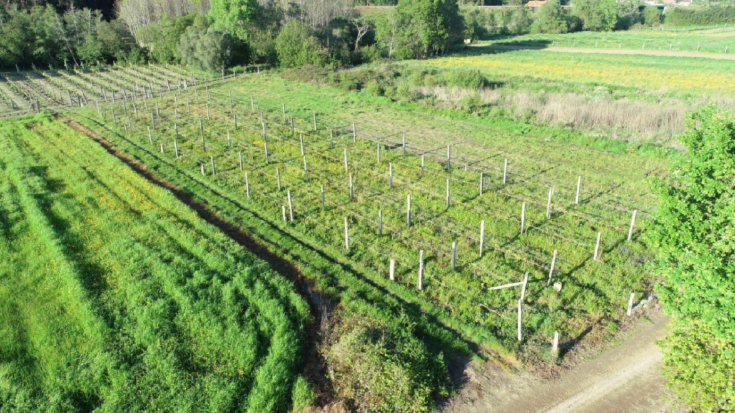  en venta terreno Tregosa Barcelos 1