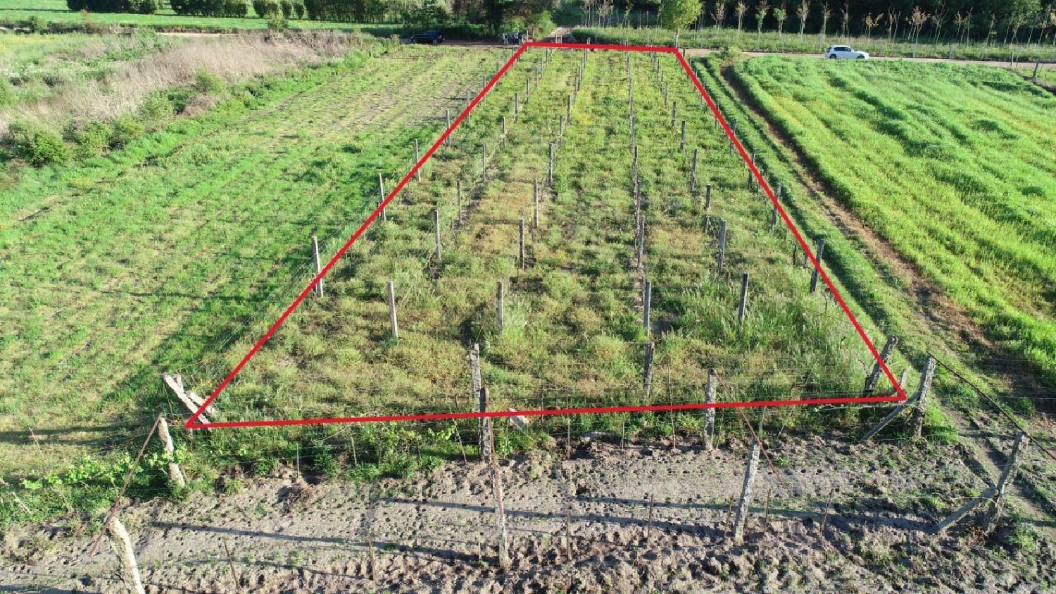  en venta terreno Tregosa Barcelos 2