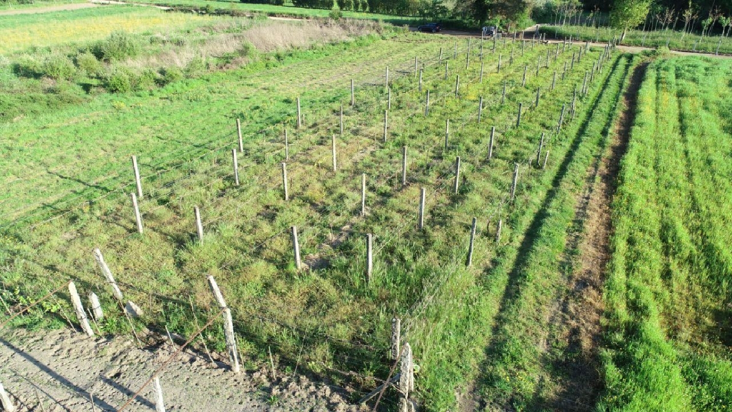  en venta terreno Tregosa Barcelos 3