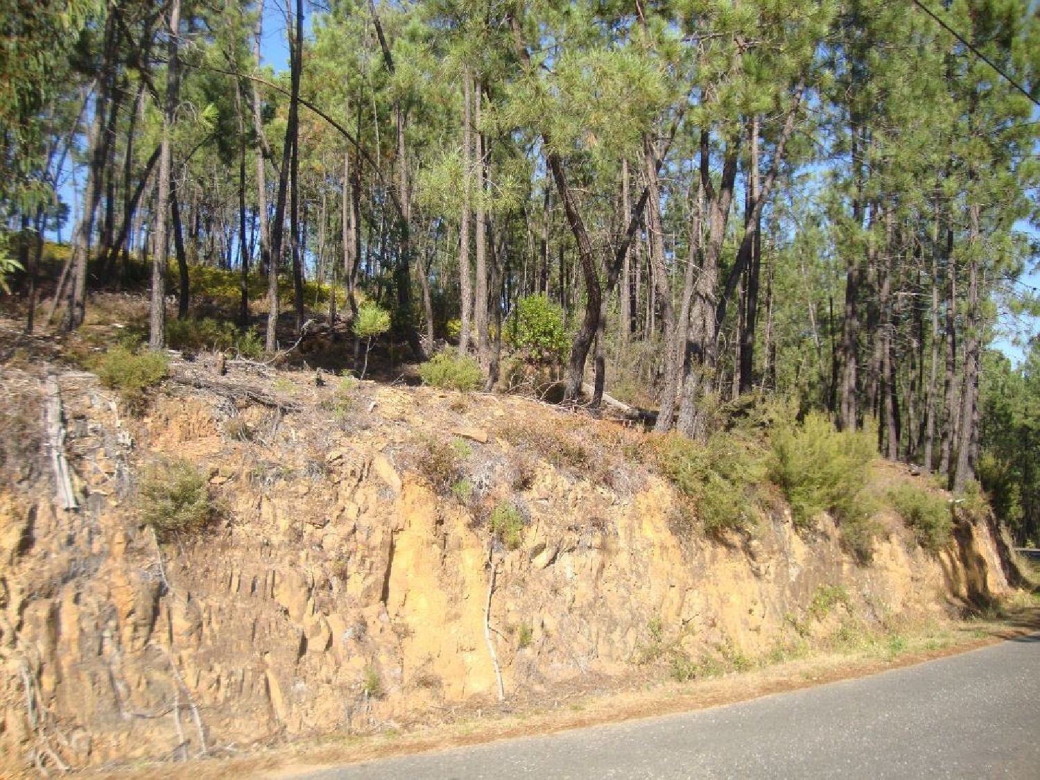en venta terreno Troviscal Sertã 2