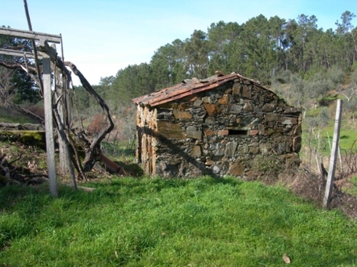 Troviscal Sertã terreno foto 327241