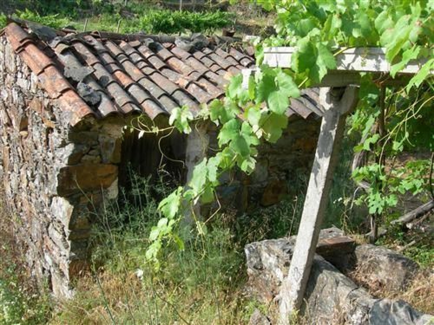 en venta terreno Troviscal Sertã 2