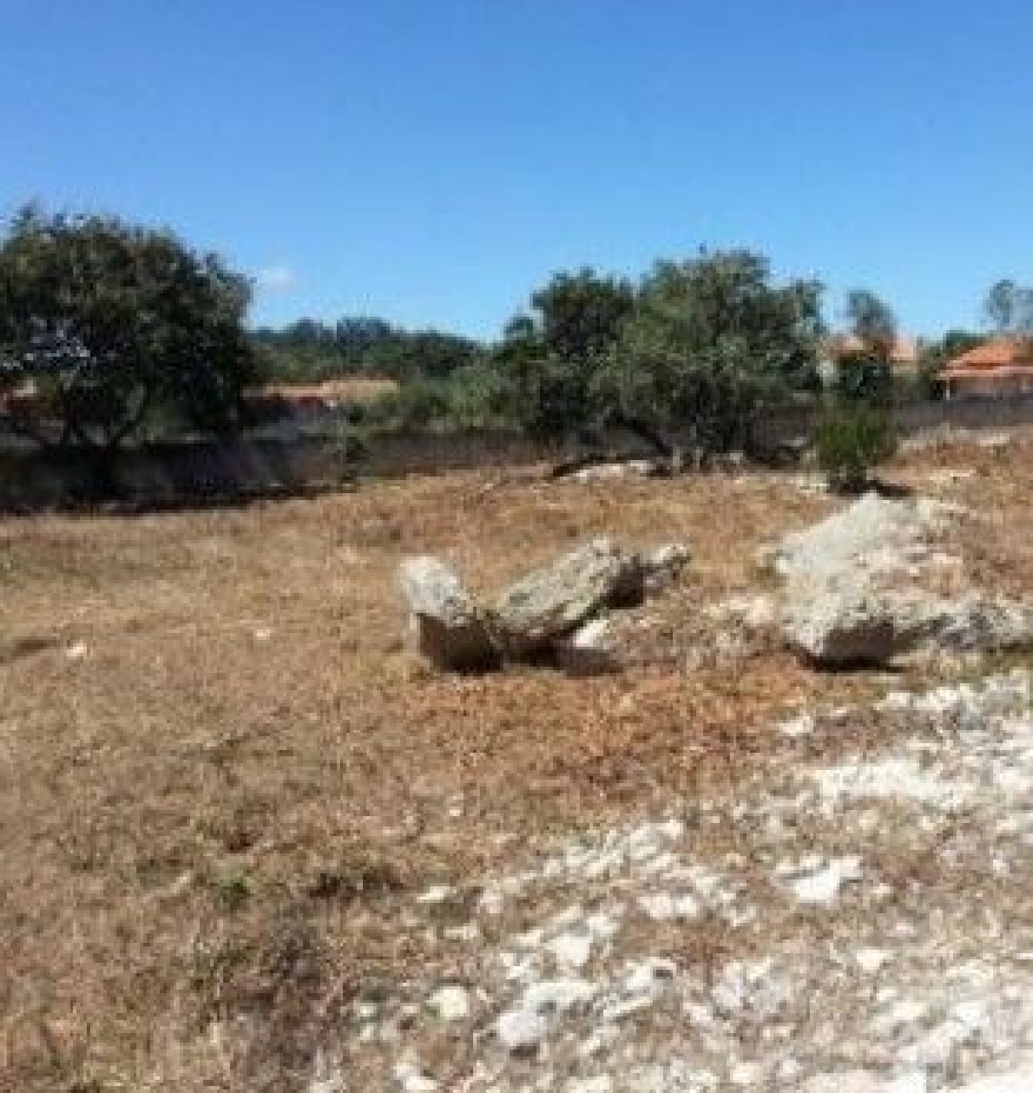  à venda terreno Turquel Alcobaça 1