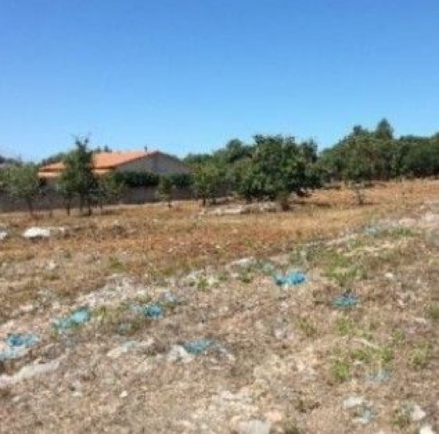  à venda terreno Turquel Alcobaça 3