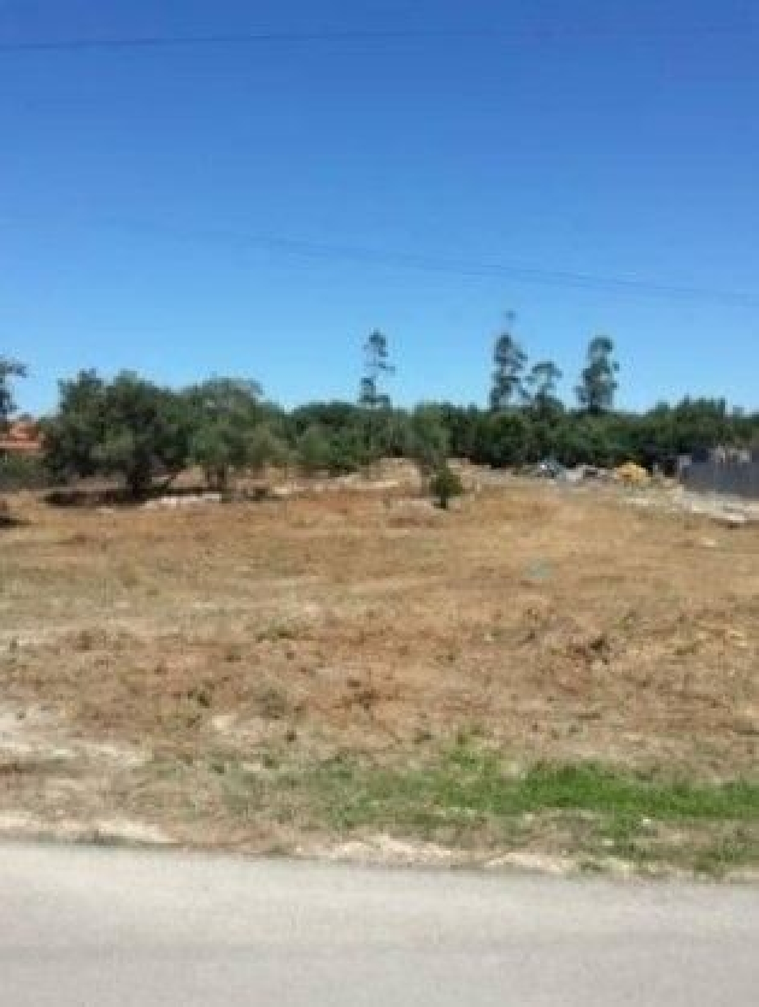  à venda terreno Turquel Alcobaça 2
