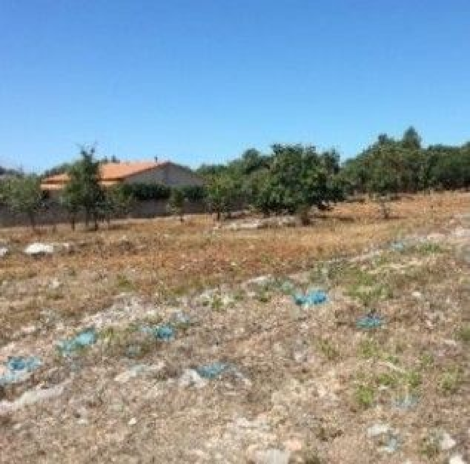  à venda terreno Turquel Alcobaça 3