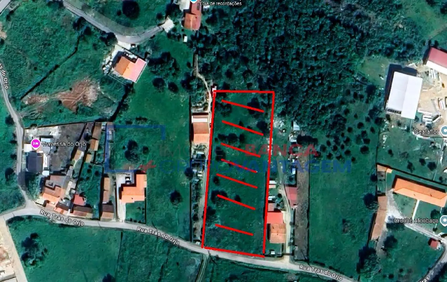  à venda terreno Turquel Alcobaça 1