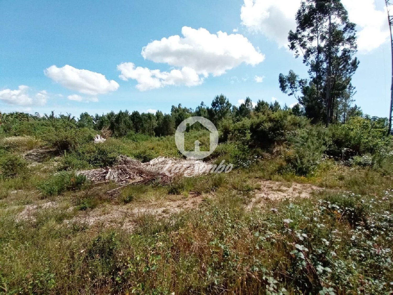 à venda terreno Ucha Barcelos 2