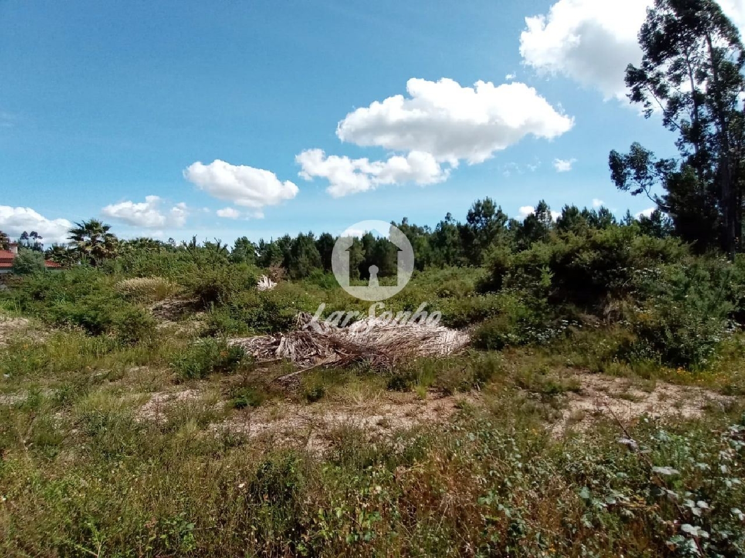 à venda terreno Ucha Barcelos 3