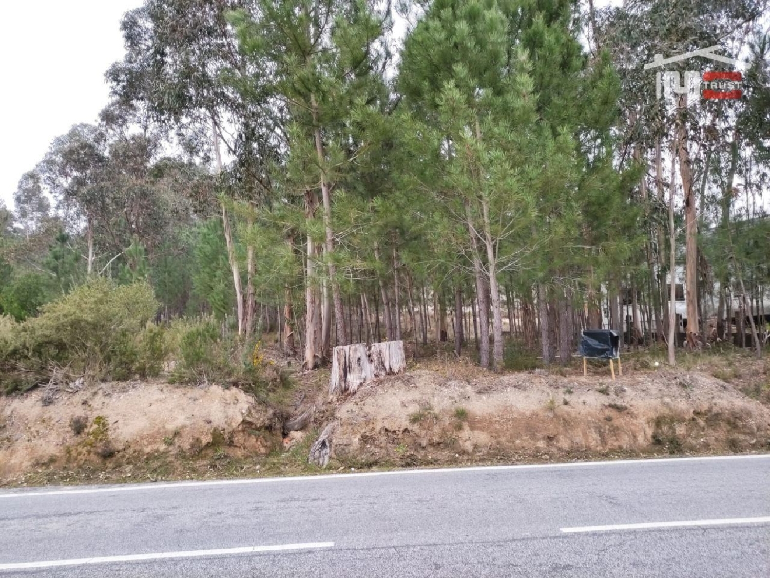  for sale terrain Urqueira Ourém 1