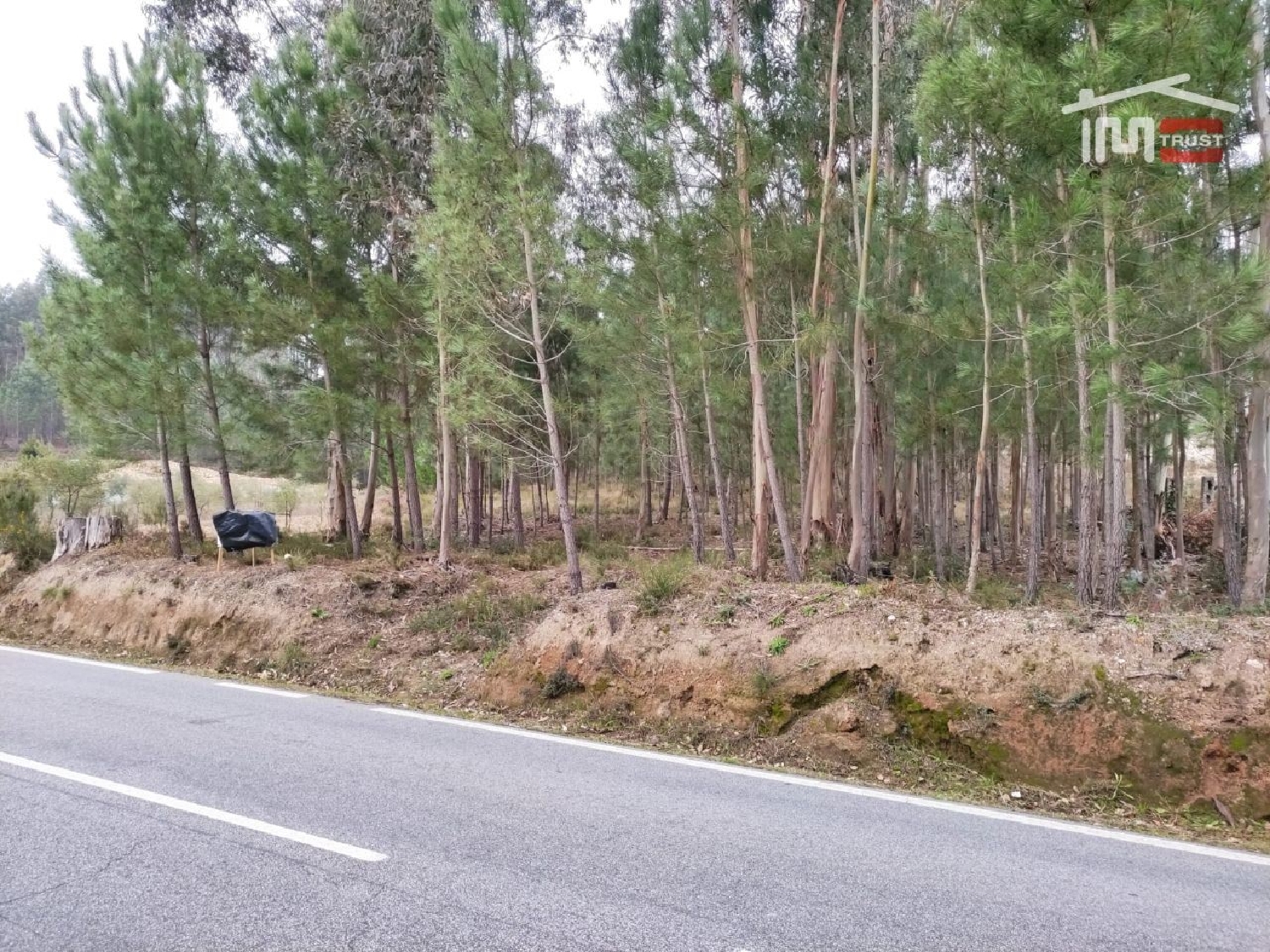 for sale terrain Urqueira Ourém 3