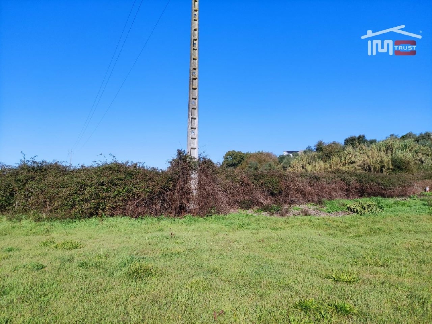 for sale terrain Urqueira Ourém 2