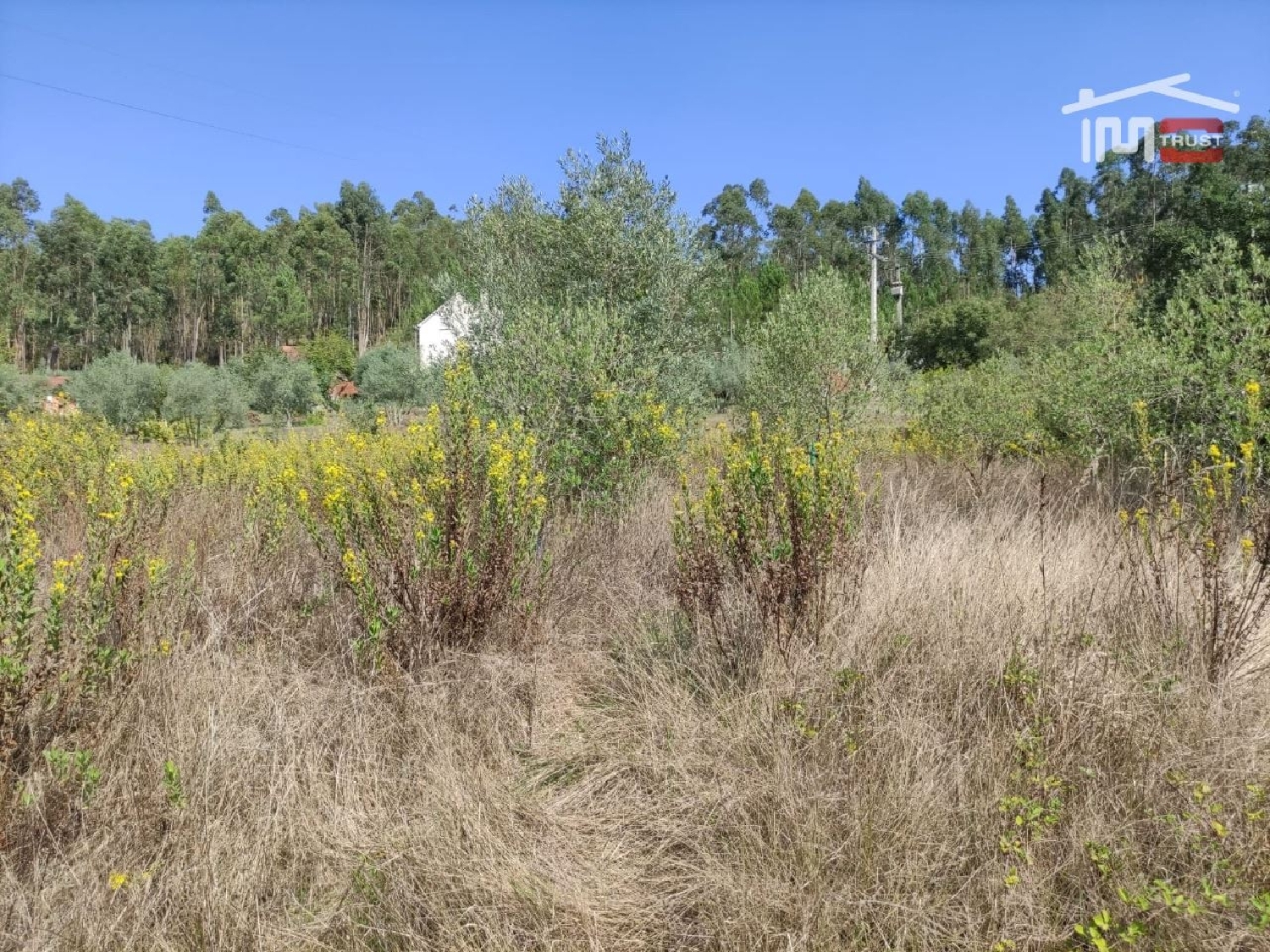 for sale terrain Urqueira Ourém 2