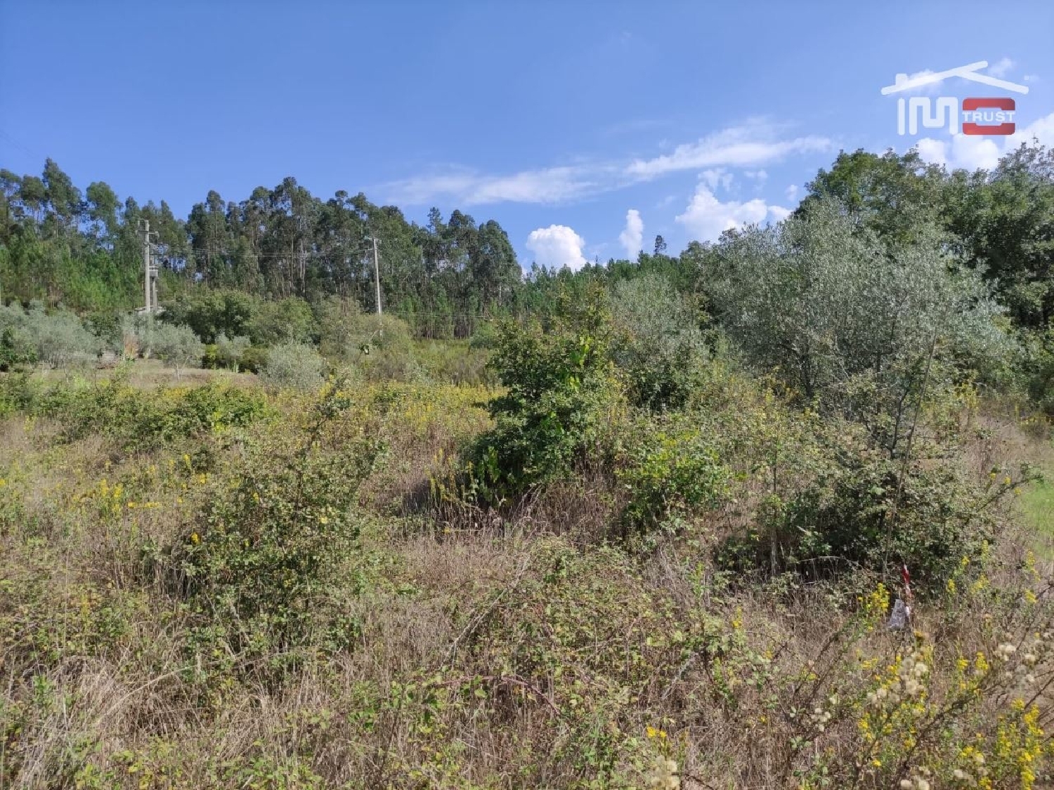 for sale terrain Urqueira Ourém 3