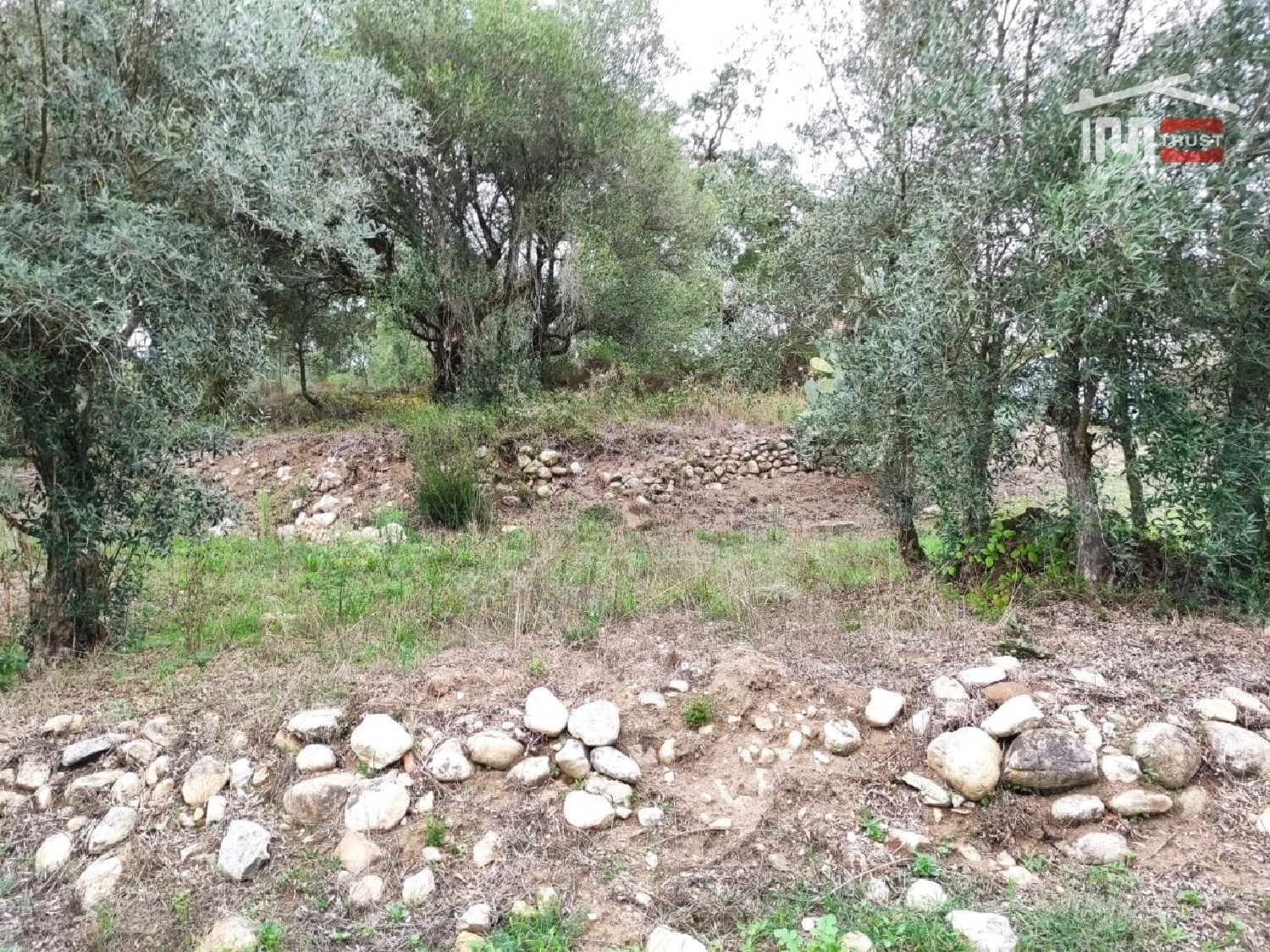 for sale terrain Urqueira Ourém 2