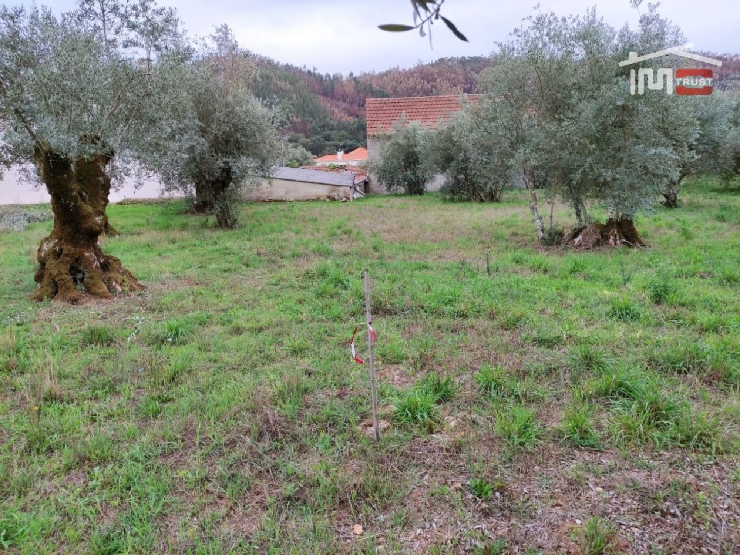 for sale terrain Urqueira Ourém 3