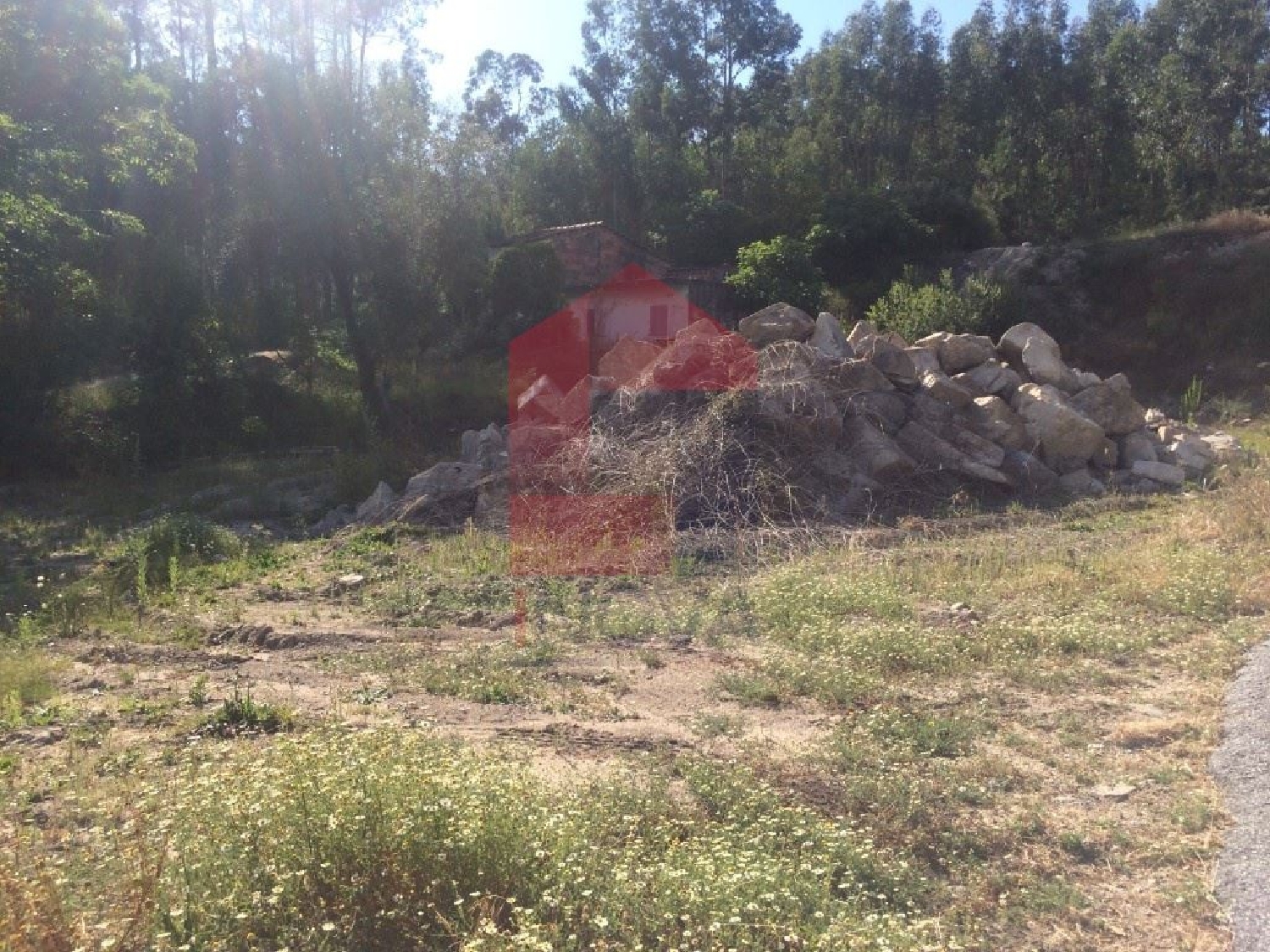 for sale terrain Uveiras Vila Verde 3