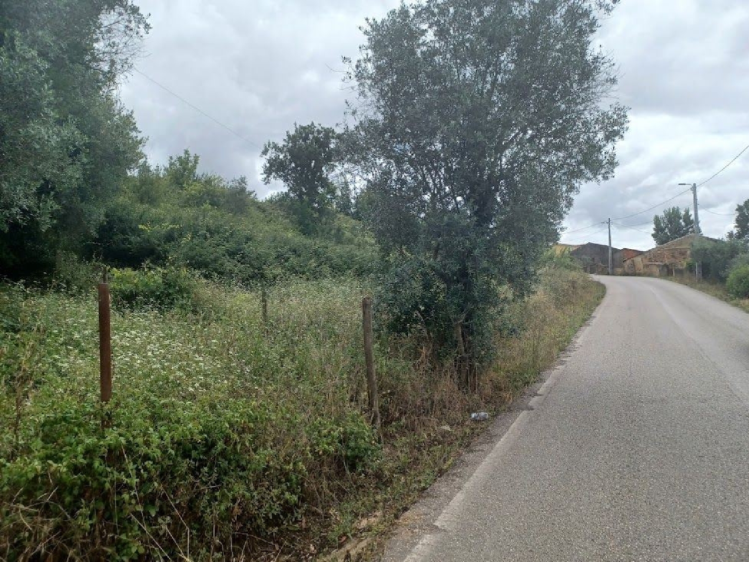  en venta terreno Vacariça Mealhada 2
