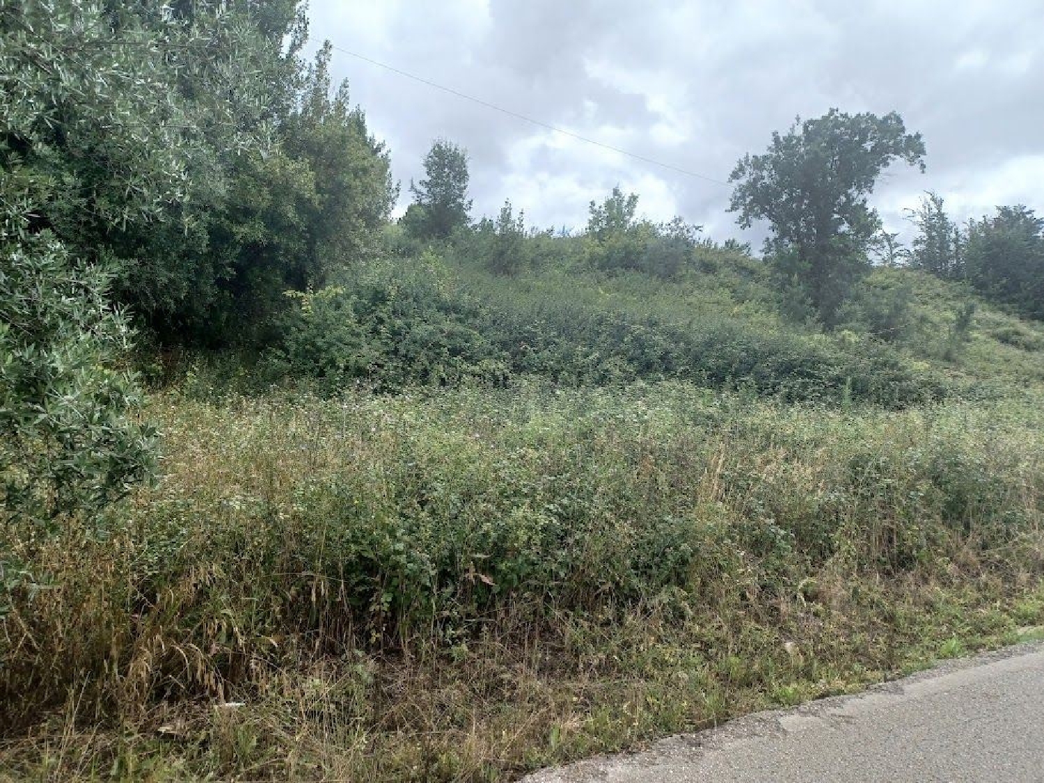  en venta terreno Vacariça Mealhada 3