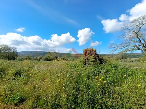 Vale de Rodão Marvão terreno foto 317732