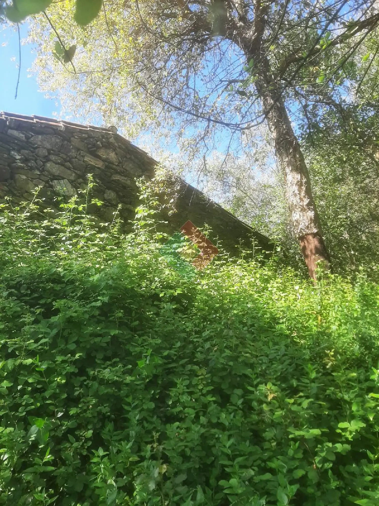  à venda terreno Vale de Rodão Marvão 2