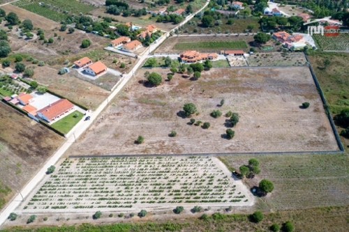Vale de Santarém Santarém Grundstück Bild 327134