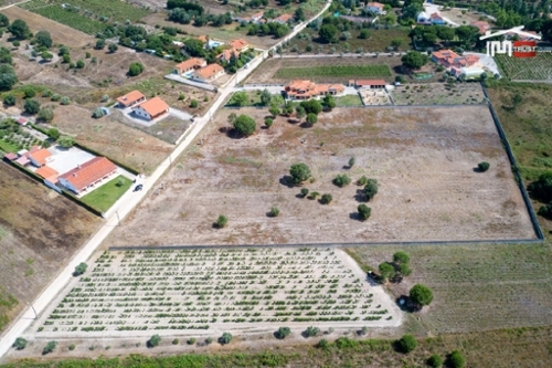 Vale de Santarém Santarém Grundstück Bild 327136