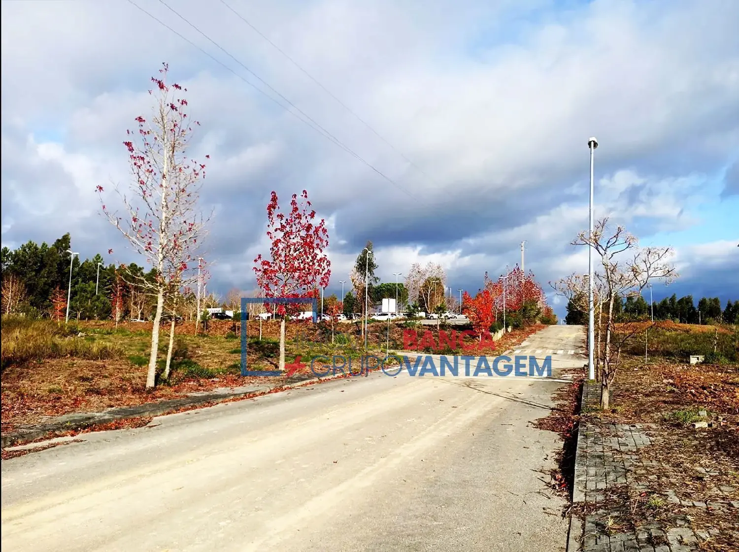  à vendre terrain Valongo do Vouga Águeda 1