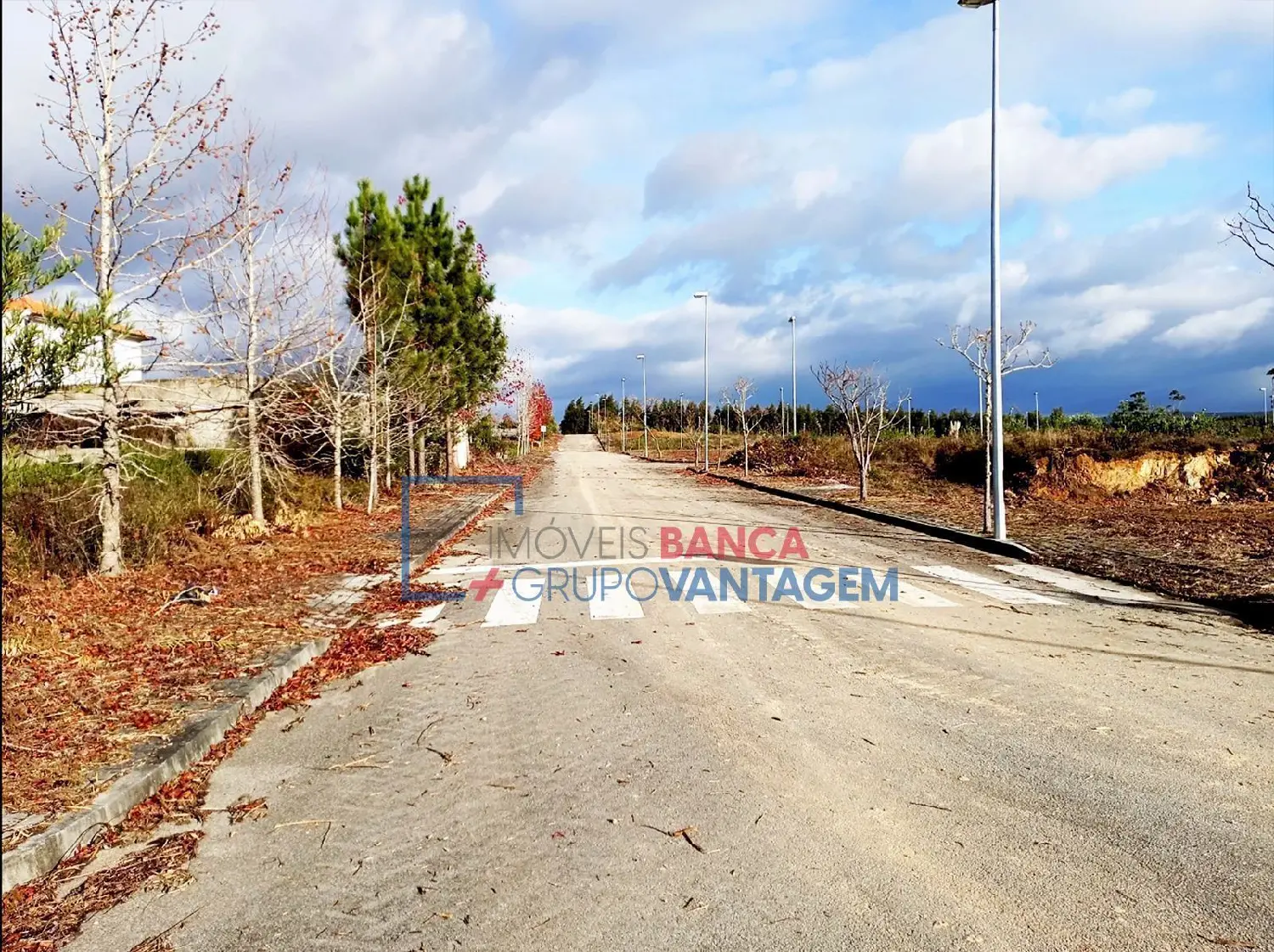 à vendre terrain Valongo do Vouga Águeda 3