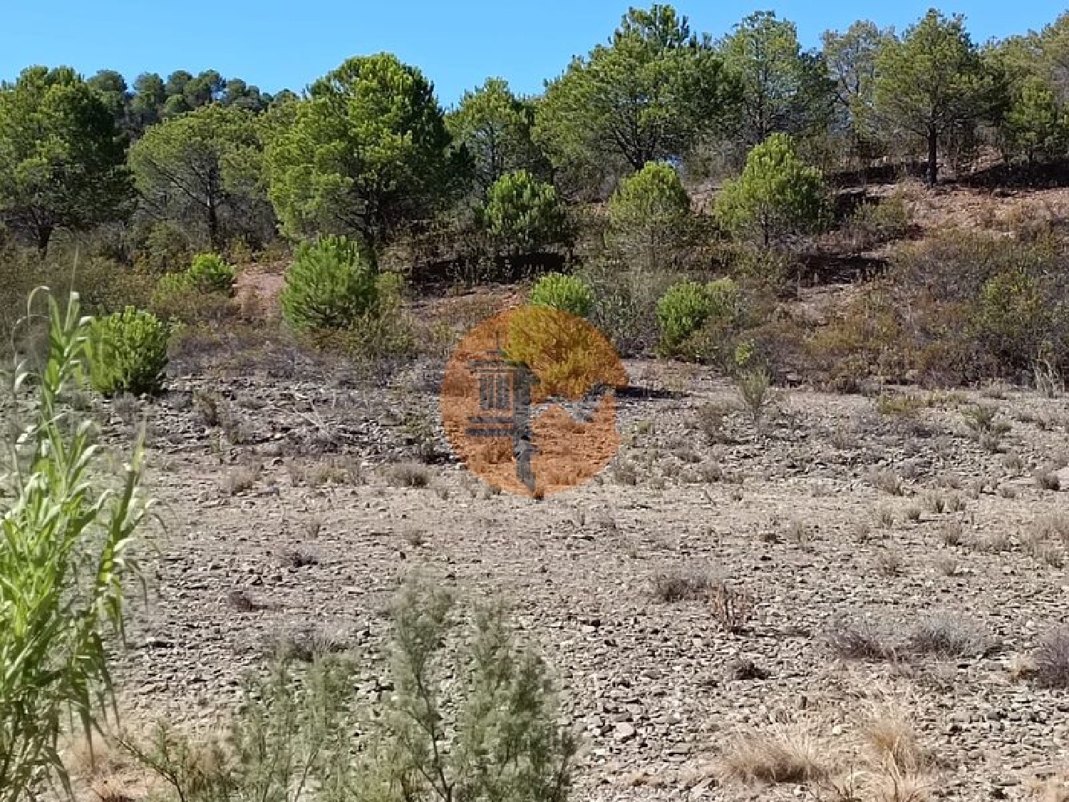  à vendre terrain Vaqueiros Alcoutim 1