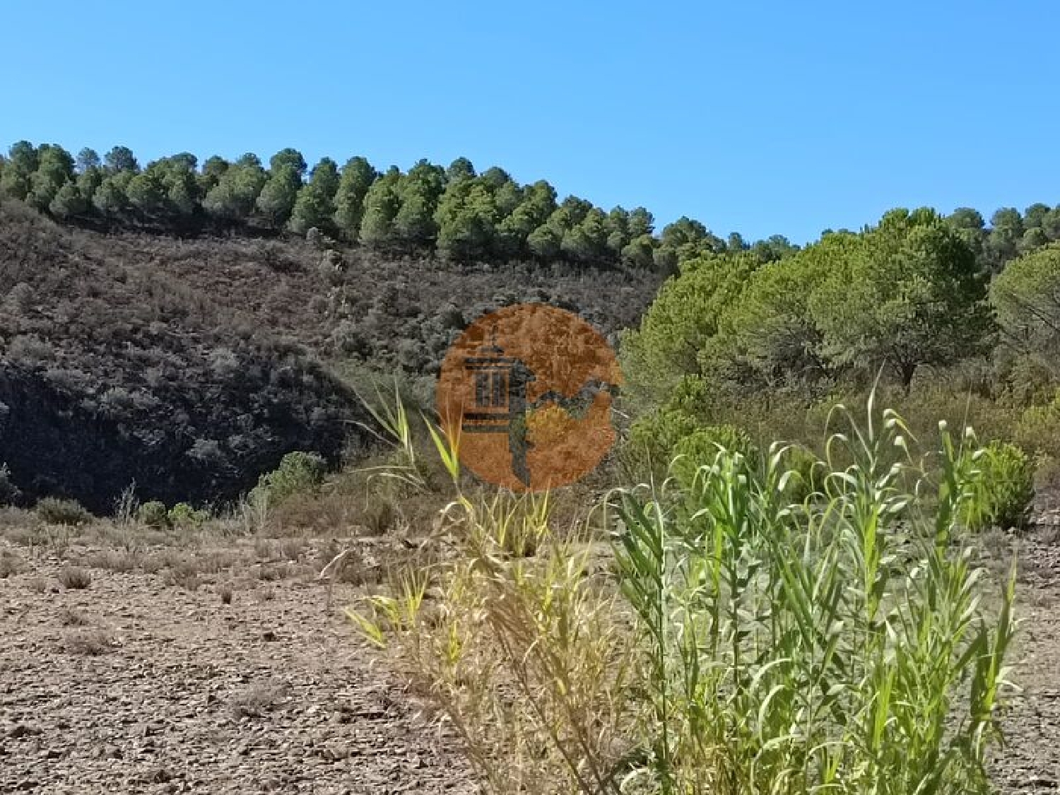  à vendre terrain Vaqueiros Alcoutim 6