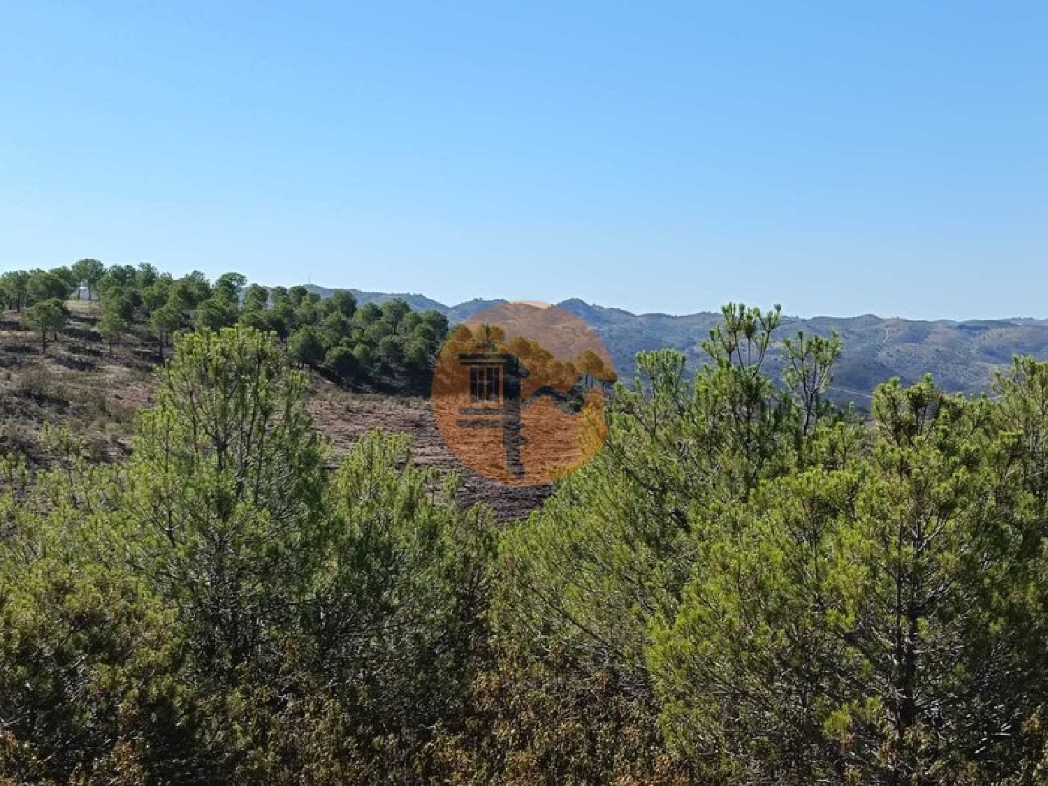  à vendre terrain Vaqueiros Alcoutim 4