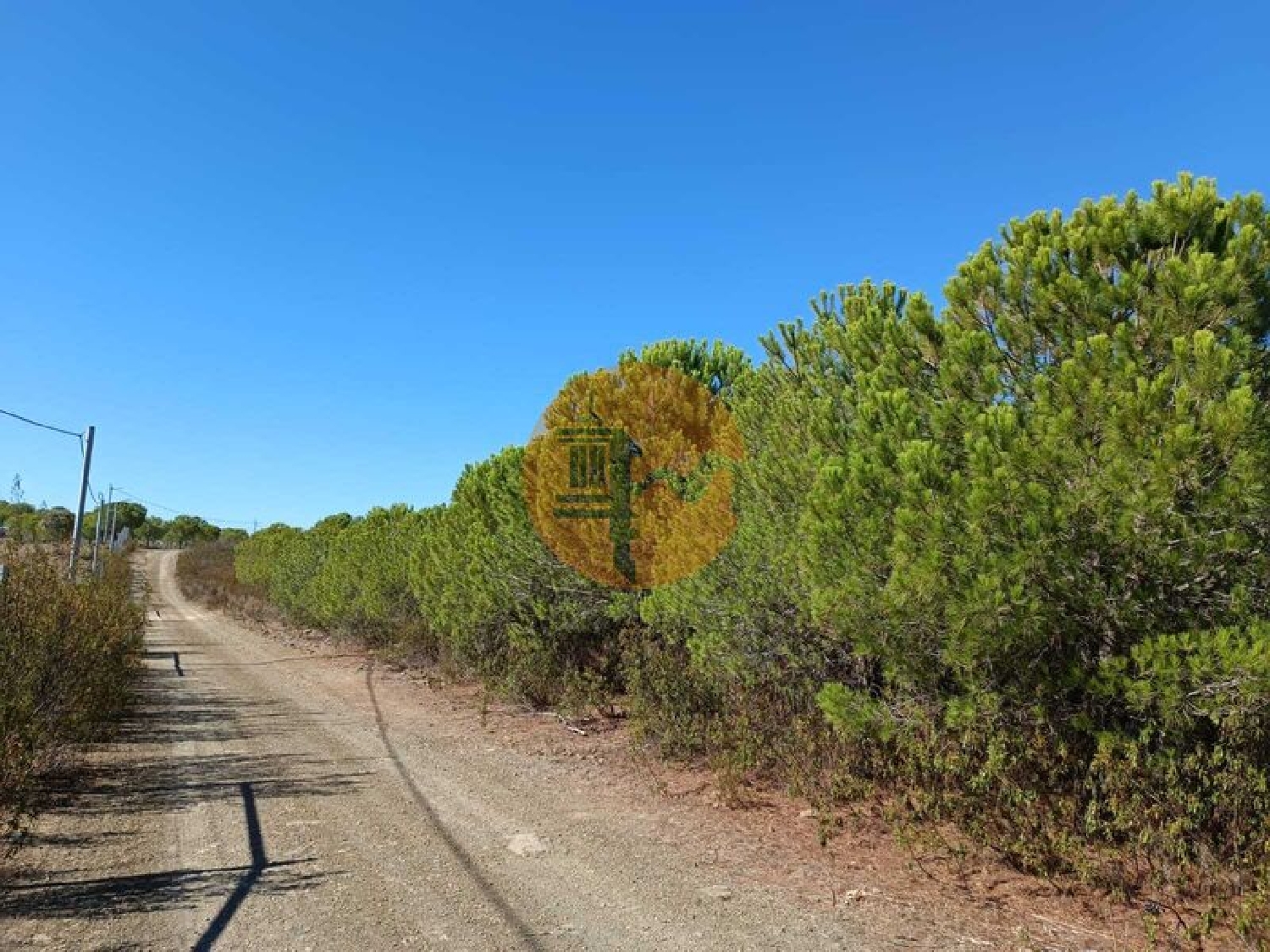  à vendre terrain Vaqueiros Alcoutim 5