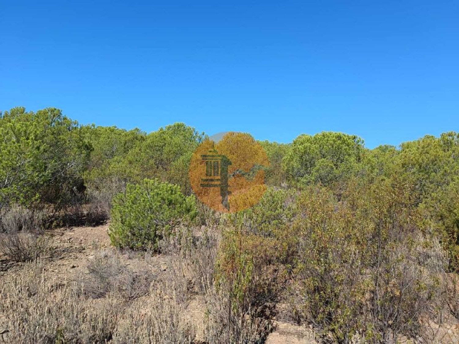  à vendre terrain Vaqueiros Alcoutim 6