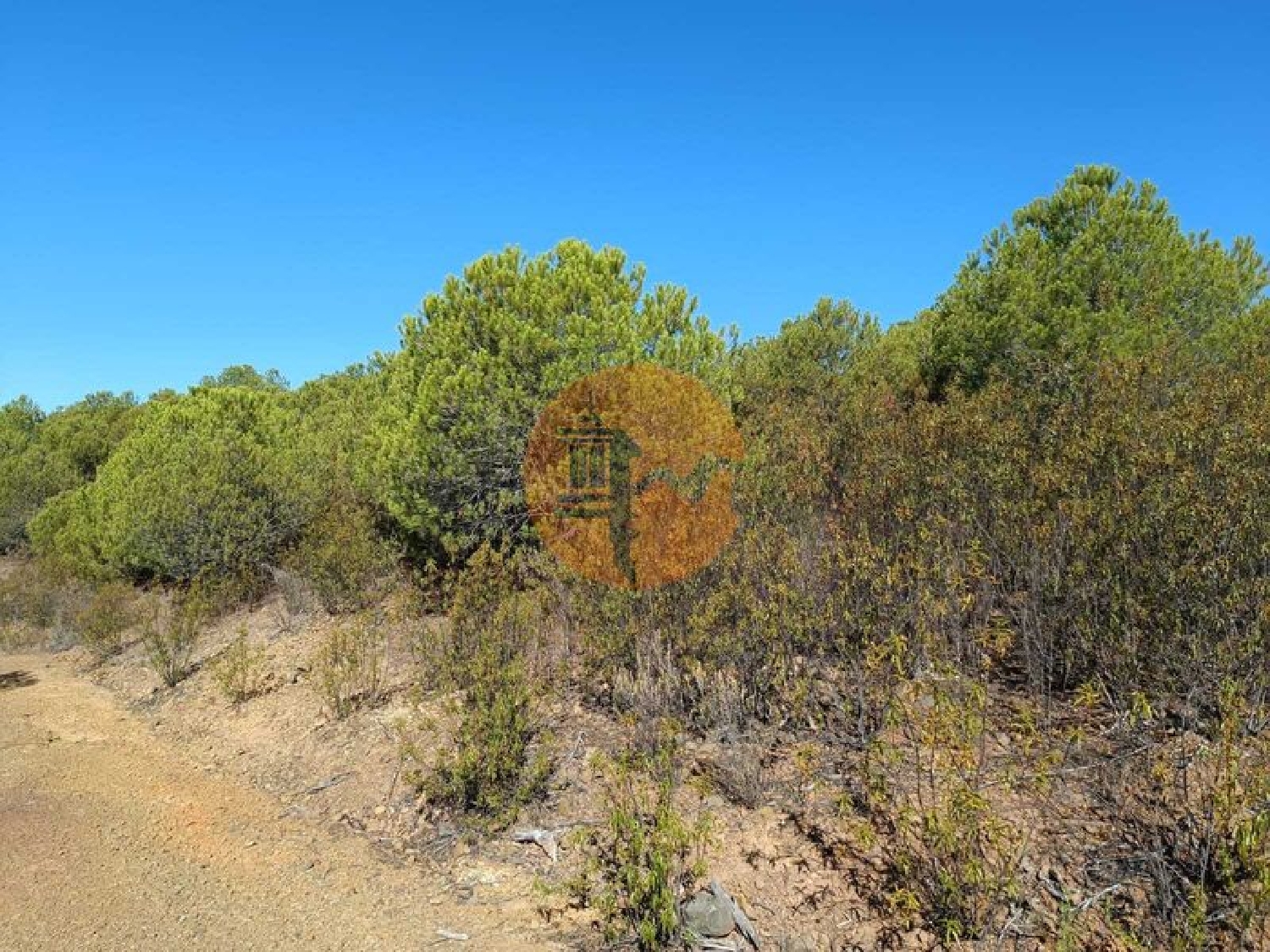  à vendre terrain Vaqueiros Alcoutim 8