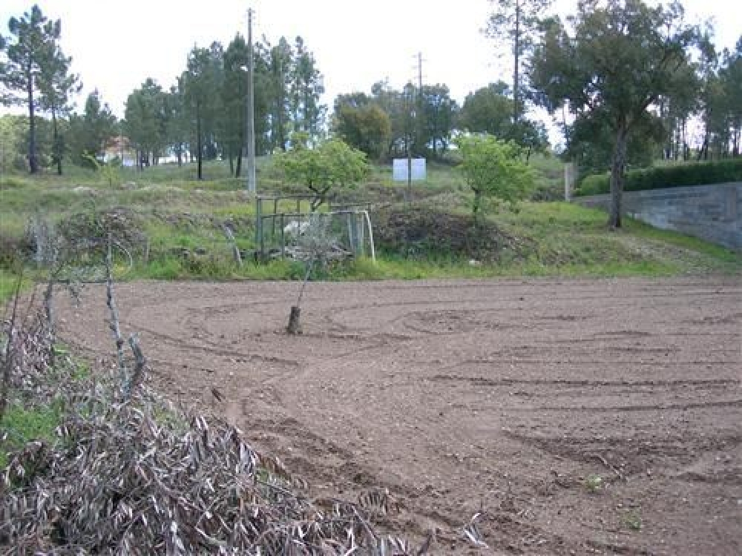 en venta terreno Várzea dos Cavaleiros Sertã 2