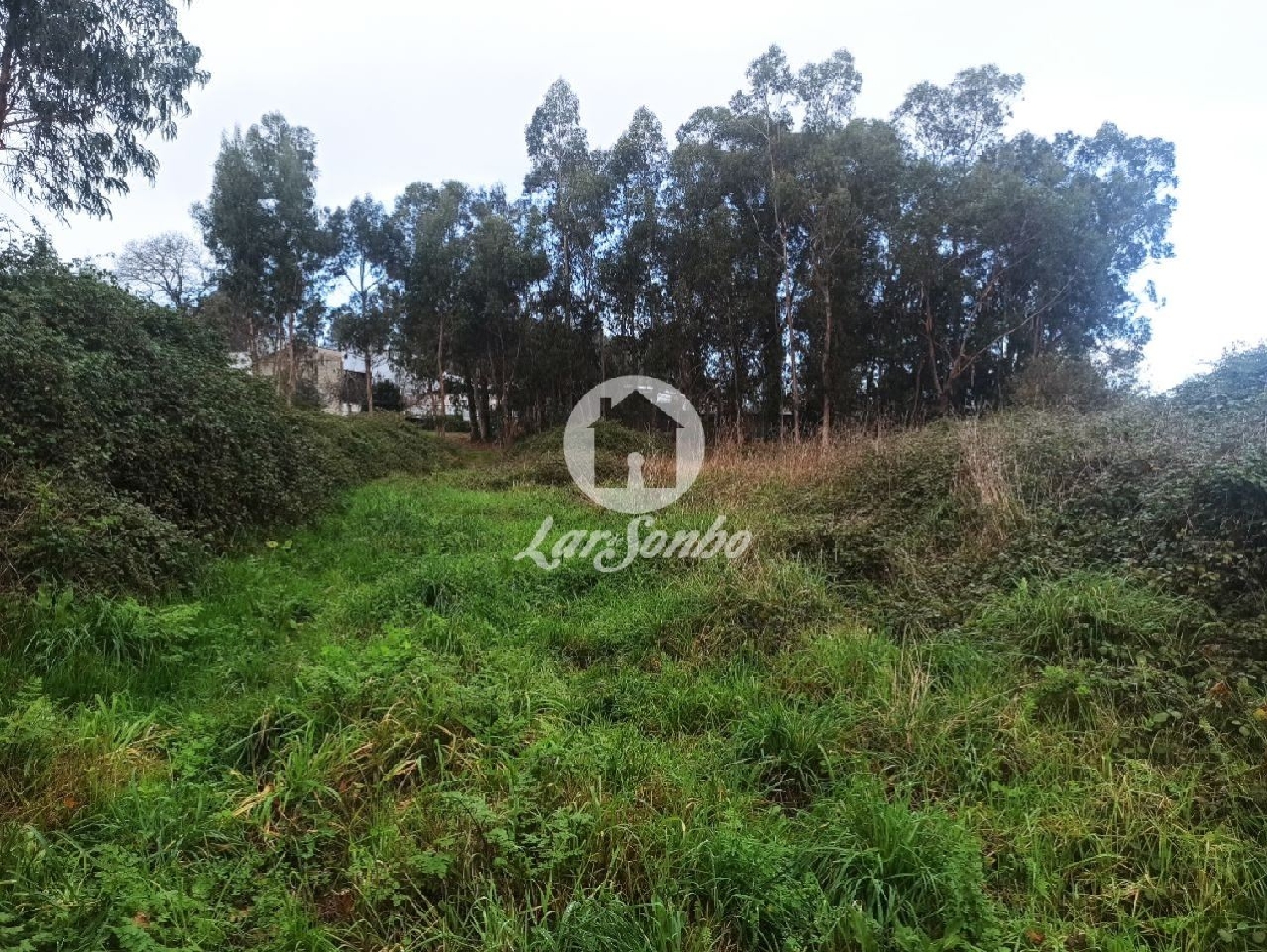 à venda terreno Viatodos Barcelos 3