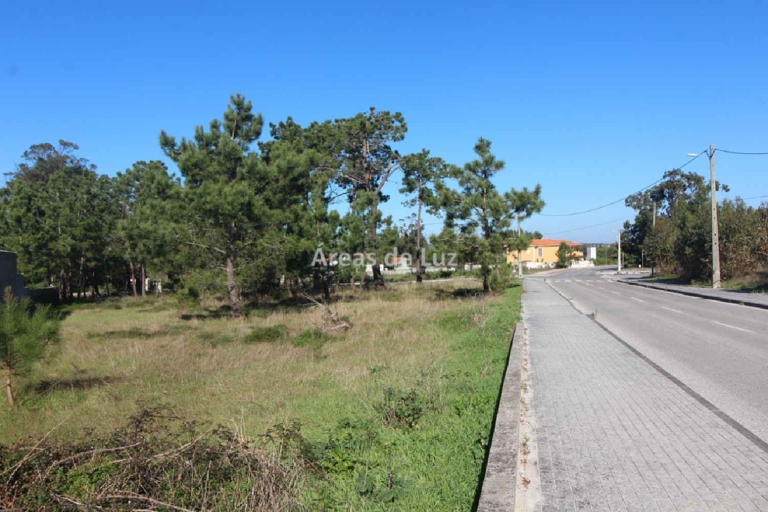  kaufen Grundstück Vieira de Leiria Marinha Grande 2