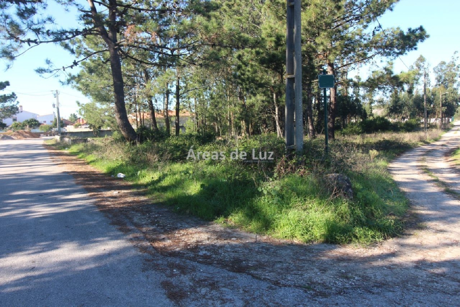 kaufen Grundstück Vieira de Leiria Marinha Grande 2