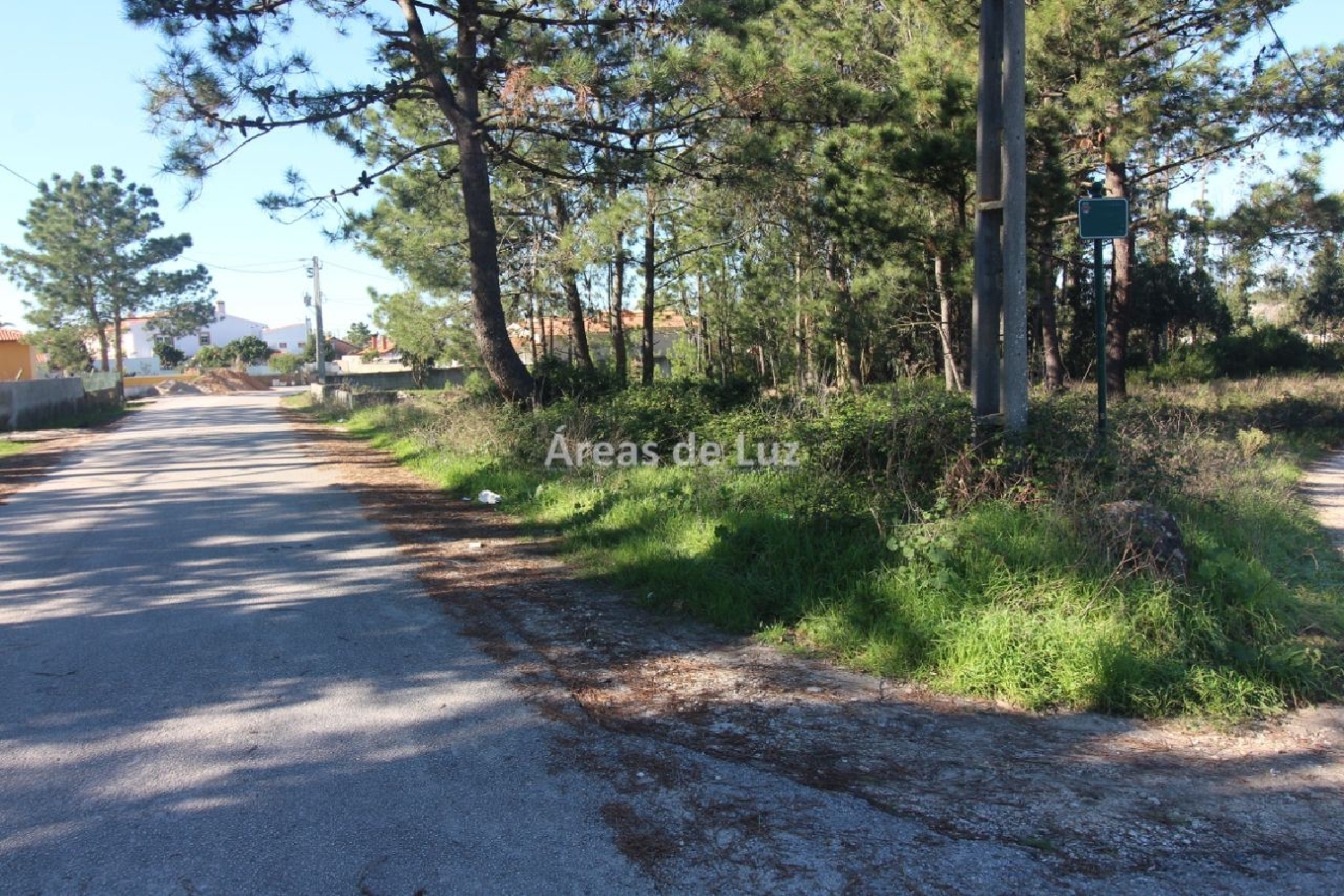 kaufen Grundstück Vieira de Leiria Marinha Grande 3