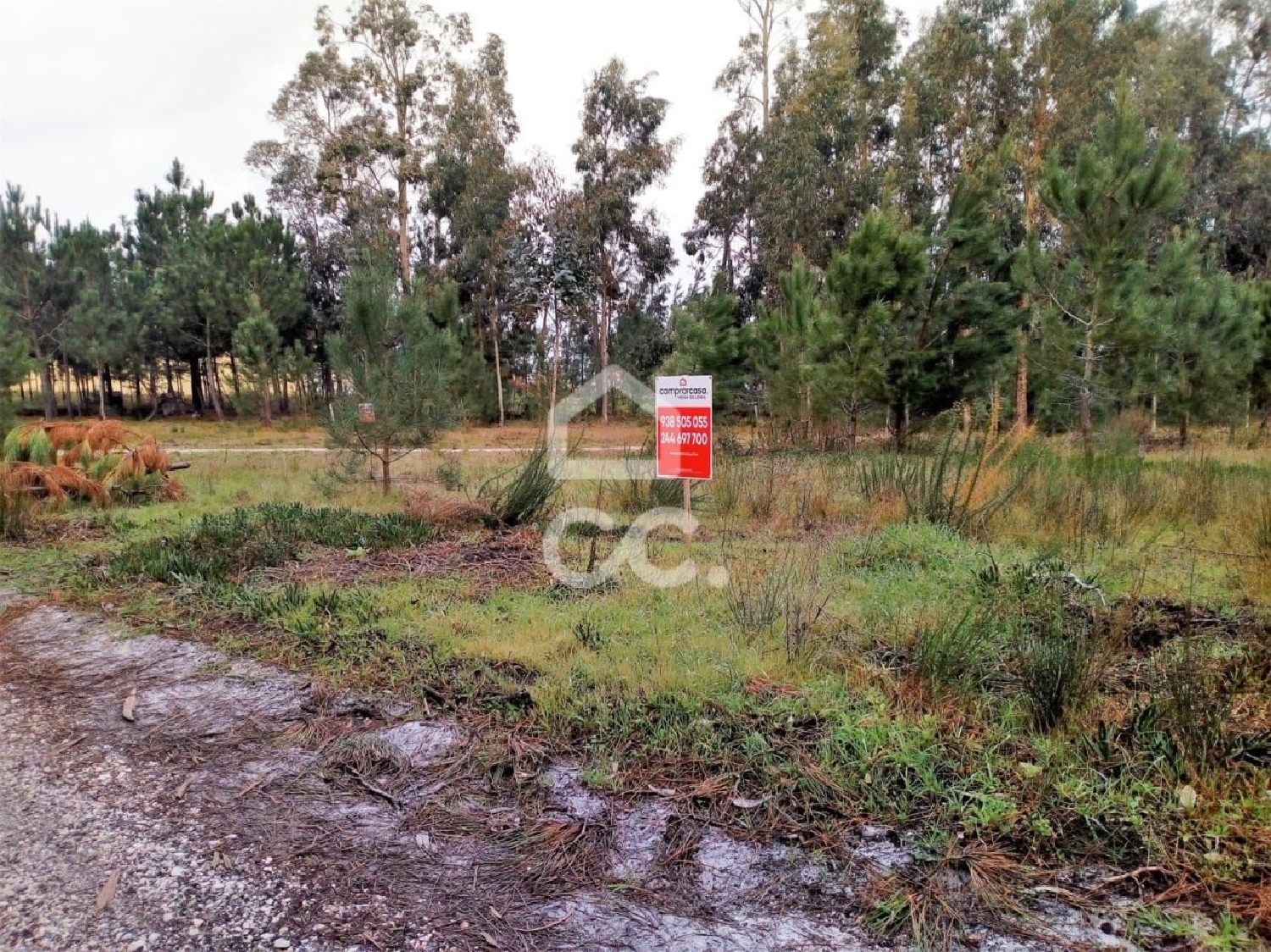 te koop terrein Vieira de Leiria Marinha Grande 3