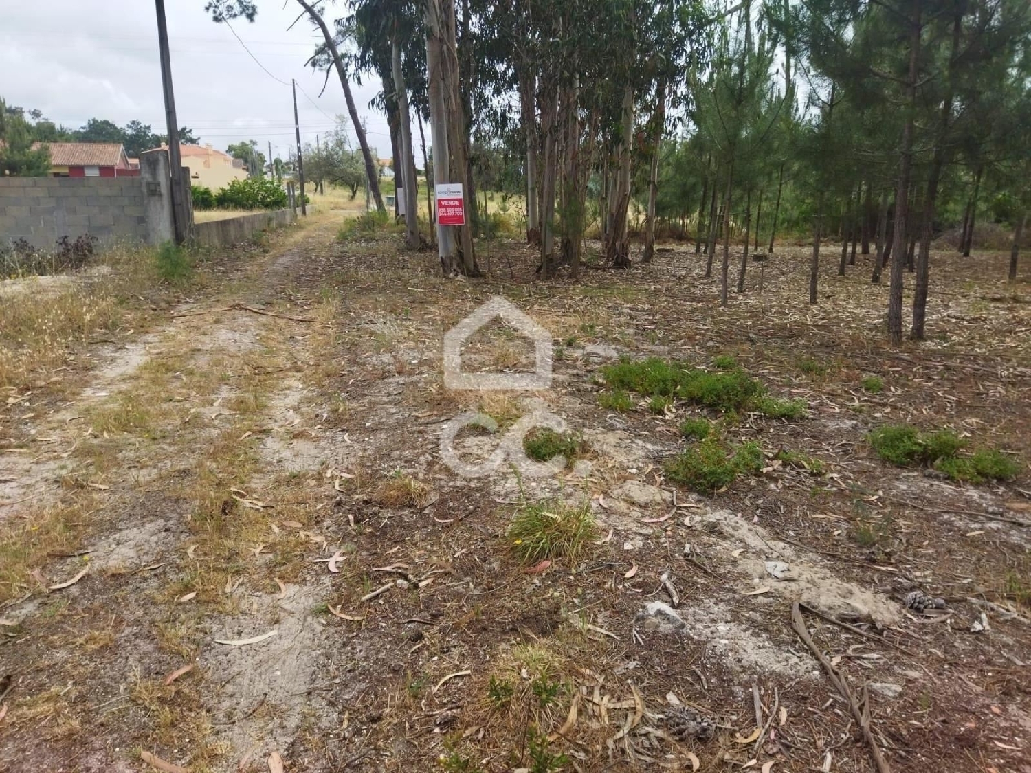  kaufen Grundstück Vieira de Leiria Marinha Grande 1