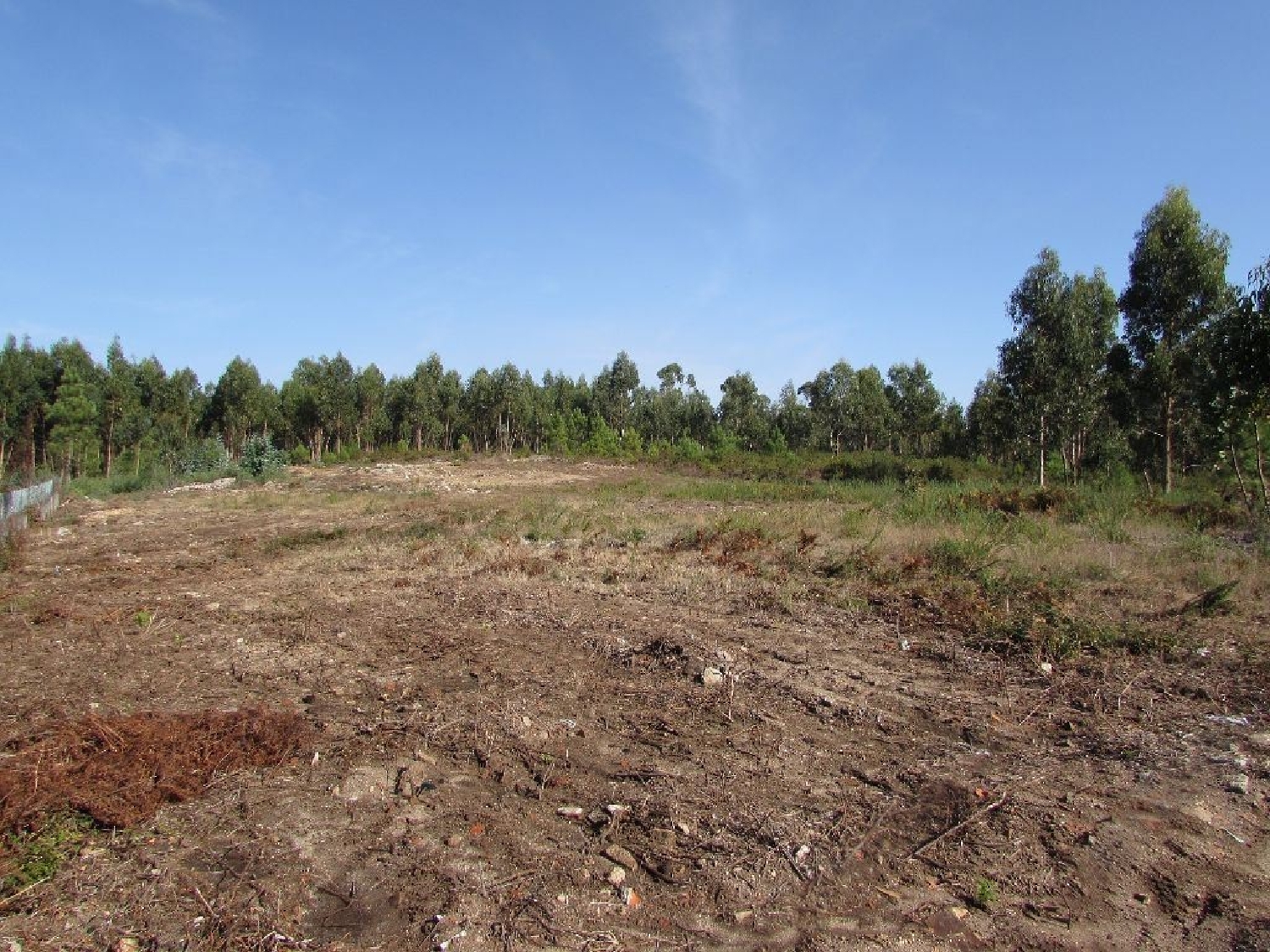  te koop terrein Vila Chã Viseu 1
