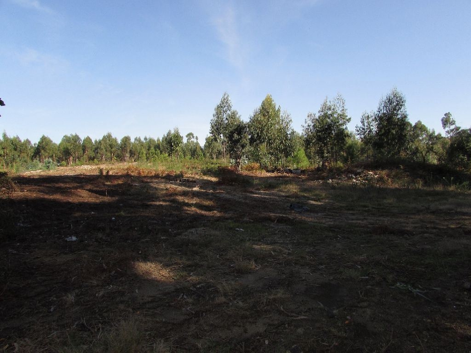 te koop terrein Vila Chã Viseu 3