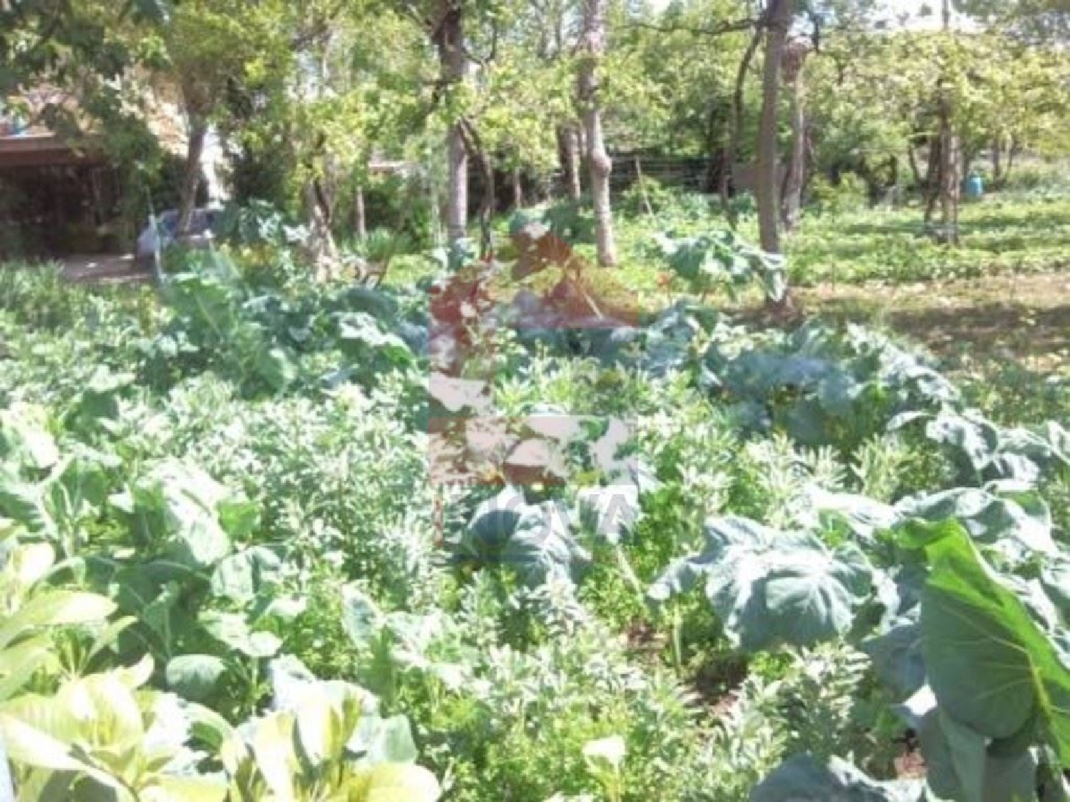 te koop terrein Vila de Prado Vila Verde 2