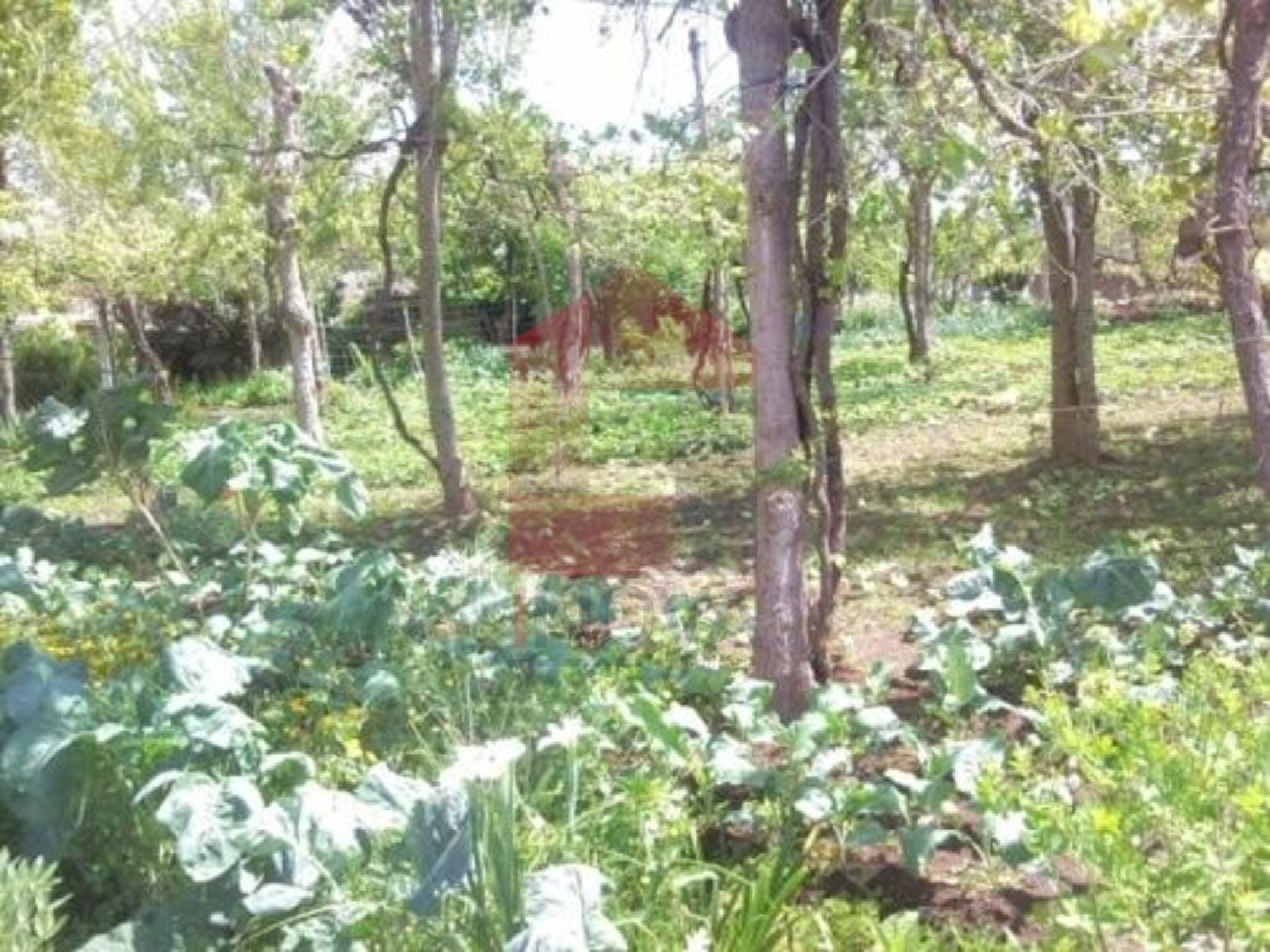te koop terrein Vila de Prado Vila Verde 3