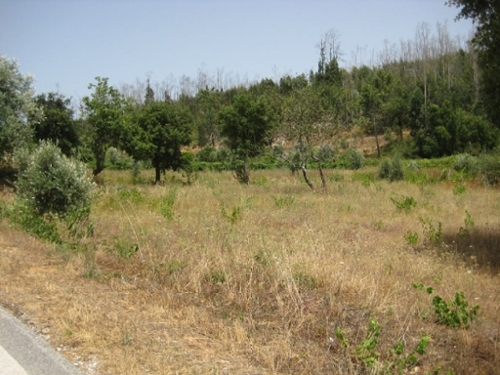 Vila de Rei Vila De Rei terrein foto 327162