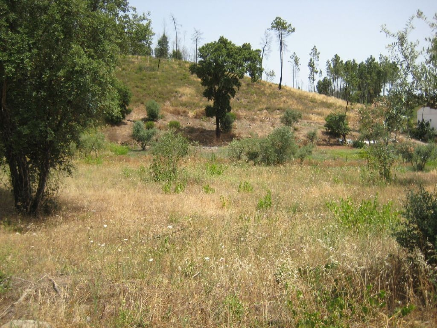 te koop terrein Vila de Rei Vila De Rei 2